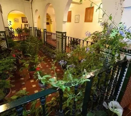 San Juan 2*